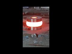 二重方向P0はスラスト・ベアリングの金属をかぶせる製造所軸受けに先を細くした