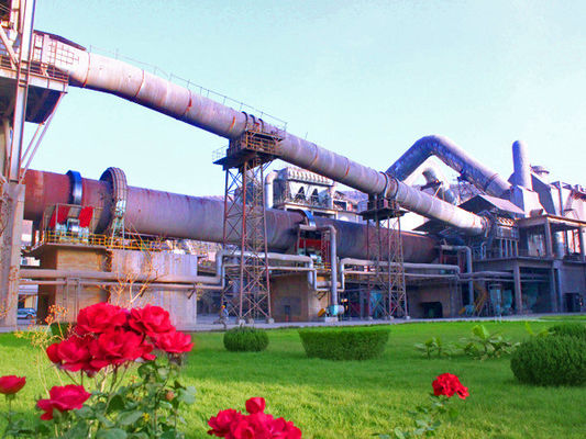 セメントのロータリー キルンZG35CrMo 42CrMo DCモーター ドライブ堅い歯の表面の減力剤