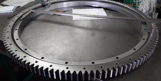 二重列Dia 10000mmの十字のローラーの回転の軸受けおよびスタッカー軸受けおよび海洋のbearuing工場価格